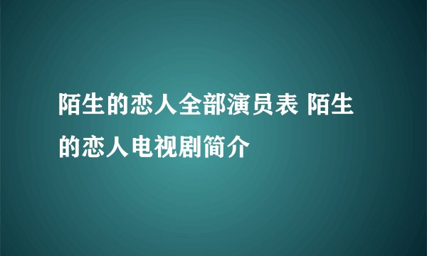 陌生的恋人全部演员表 陌生的恋人电视剧简介