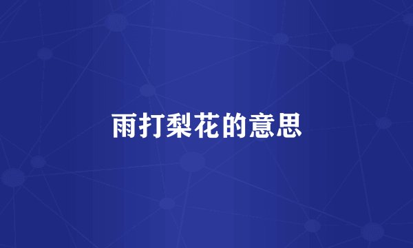雨打梨花的意思