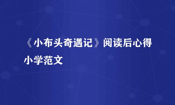 《小布头奇遇记》阅读后心得小学范文