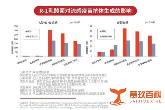 R-1乳酸菌到底有什么用？