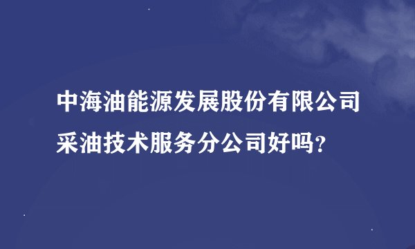 中海油能源发展股份有限公司采油技术服务分公司好吗？