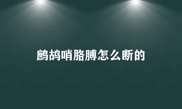 鹧鸪哨胳膊怎么断的