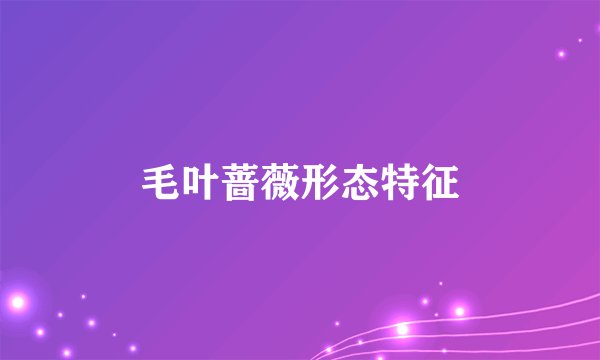 毛叶蔷薇形态特征