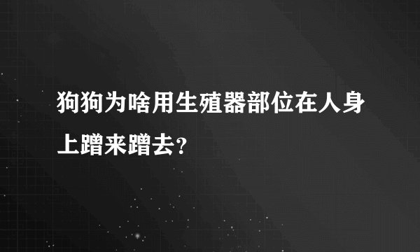 狗狗为啥用生殖器部位在人身上蹭来蹭去？