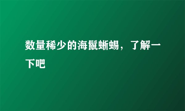数量稀少的海鬣蜥蜴，了解一下吧