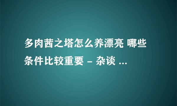 多肉茜之塔怎么养漂亮 哪些条件比较重要 - 杂谈 - 盆栽百科网