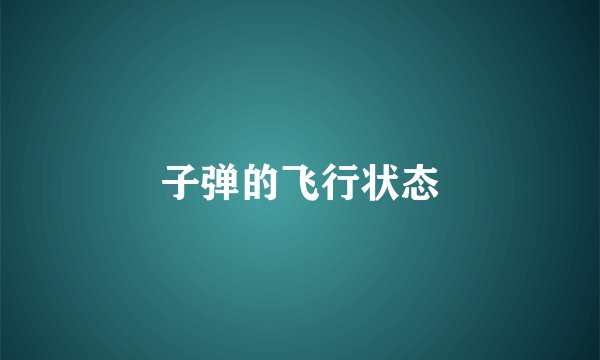 子弹的飞行状态