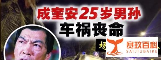 太年轻了！“大傻”成奎安孙子突发车祸身亡，年仅25岁
