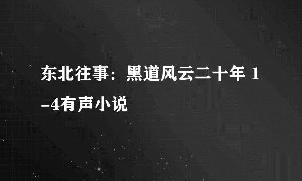 东北往事：黑道风云二十年 1-4有声小说