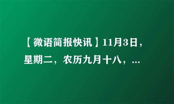 【微语简报快讯】11月3日，星期二，农历九月十八，每日60秒读报、今日早报新闻！