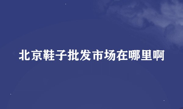 北京鞋子批发市场在哪里啊