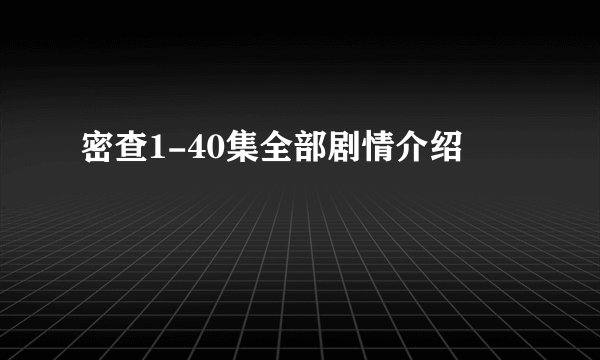 密查1-40集全部剧情介绍