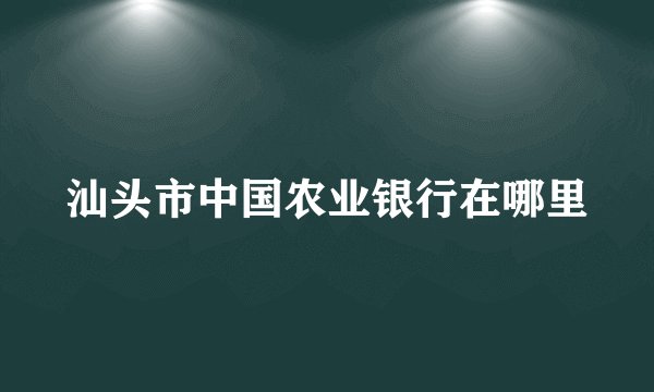 汕头市中国农业银行在哪里