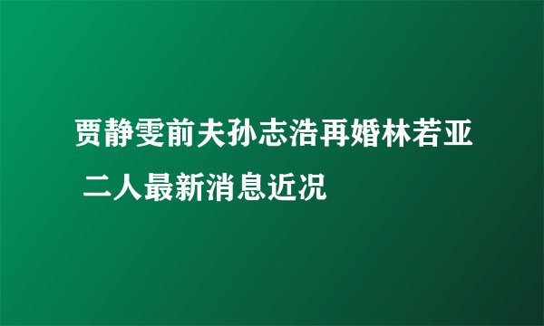 贾静雯前夫孙志浩再婚林若亚 二人最新消息近况