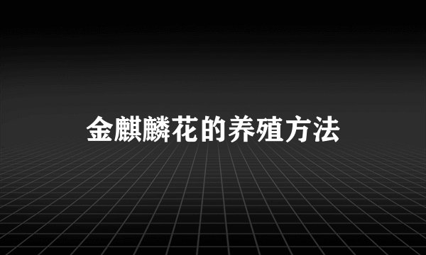 金麒麟花的养殖方法