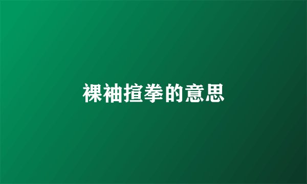裸袖揎拳的意思