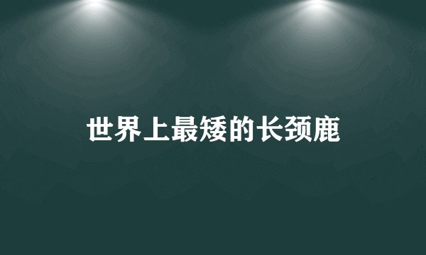 世界上最矮的长颈鹿