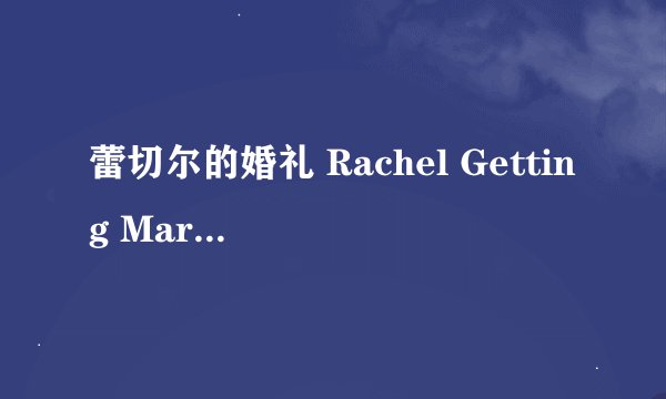 蕾切尔的婚礼 Rachel Getting Married剧情介绍