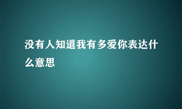 没有人知道我有多爱你表达什么意思