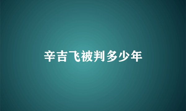 辛吉飞被判多少年