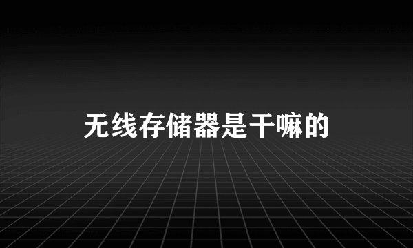 无线存储器是干嘛的