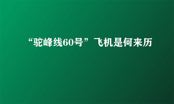 “驼峰线60号”飞机是何来历