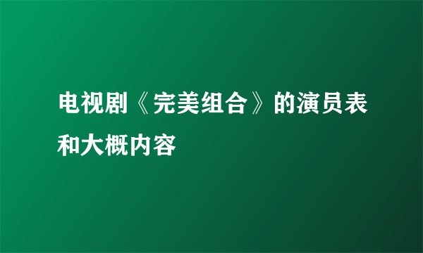 电视剧《完美组合》的演员表和大概内容