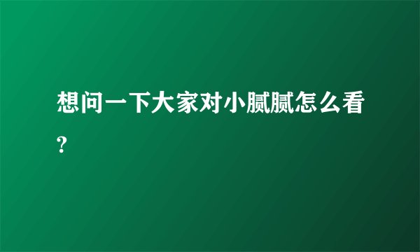 想问一下大家对小腻腻怎么看?