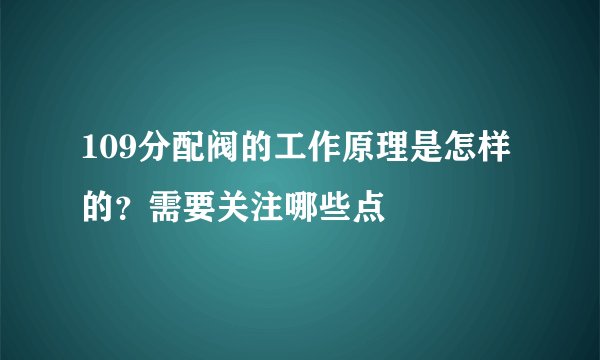 109分配阀的工作原理是怎样的？需要关注哪些点