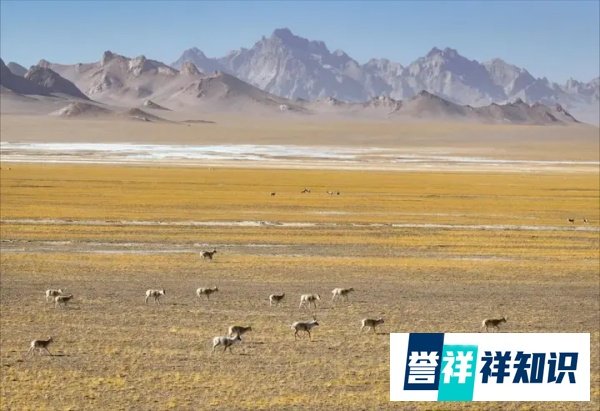 中国第一大县，面积竟然超过全国23个省份