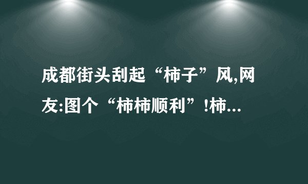 成都街头刮起“柿子”风,网友:图个“柿柿顺利”!柿子有哪些营业...