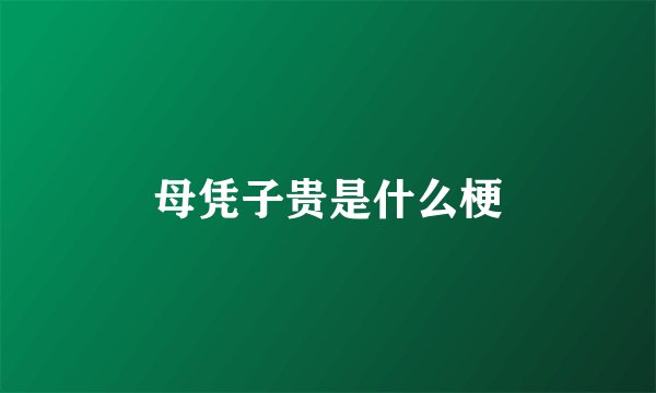 母凭子贵是什么梗
