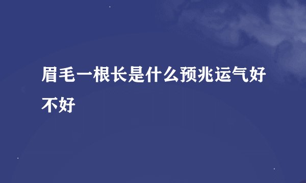 眉毛一根长是什么预兆运气好不好