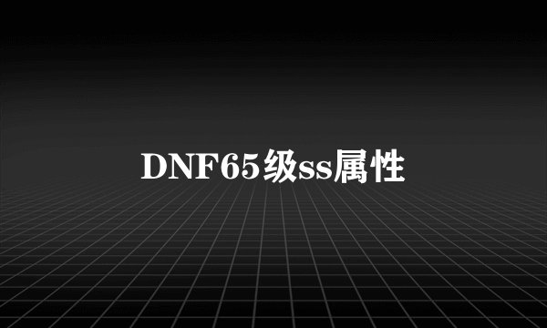 DNF65级ss属性