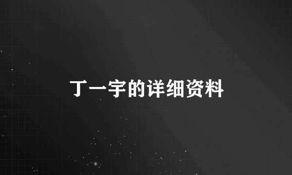丁一宇的详细资料