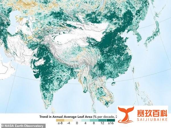 NASA发现地球比20年前更绿，多亏这两个人口大国努力绿化