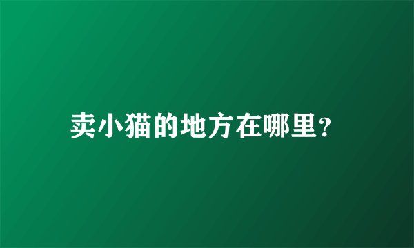 卖小猫的地方在哪里？
