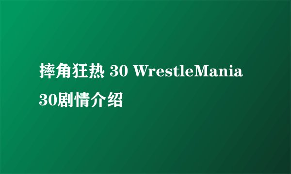 摔角狂热 30 WrestleMania 30剧情介绍