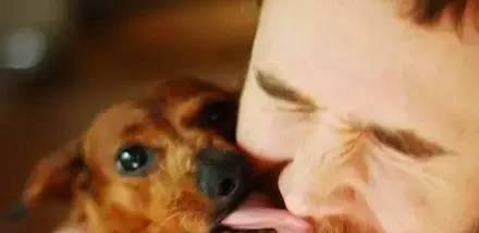 狗狗喜欢舔你脸，背后的原因竟然是.......