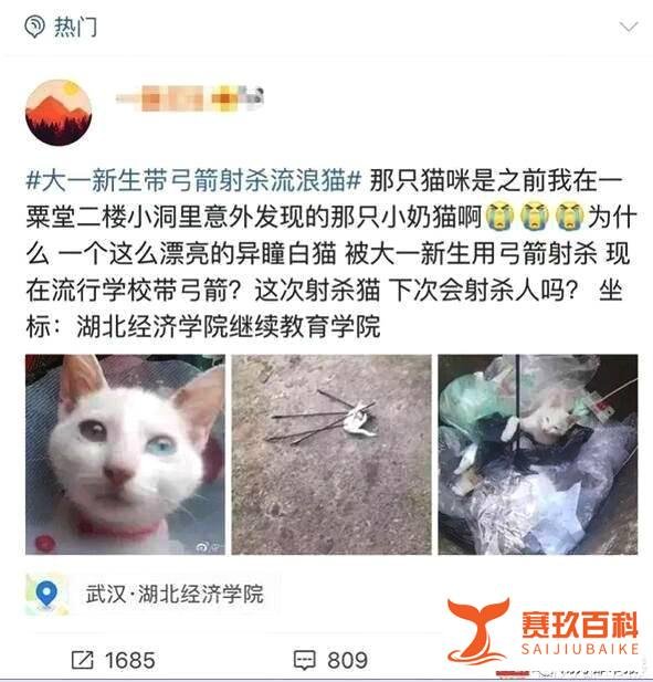 大一新生弓箭杀流浪猫事件引来社会舆论特别是谴责
