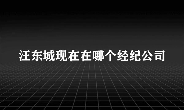 汪东城现在在哪个经纪公司