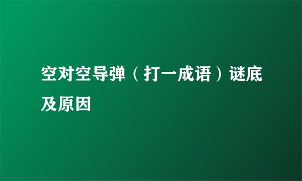 空对空导弹（打一成语）谜底及原因
