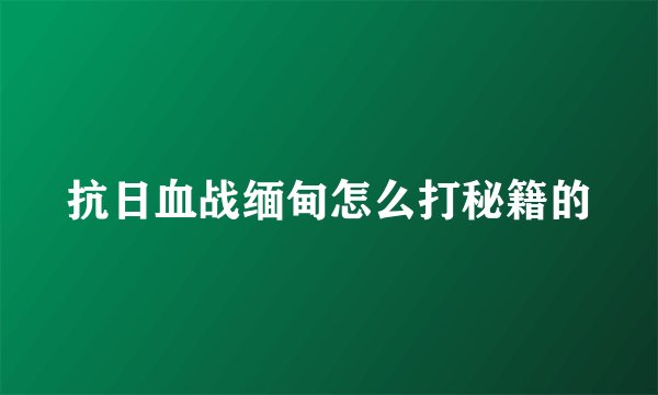 抗日血战缅甸怎么打秘籍的