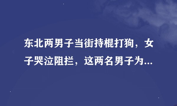 东北两男子当街持棍打狗，女子哭泣阻拦，这两名男子为何会有如此举动？