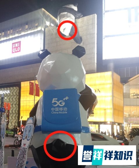 熊猫尾巴什么颜色？据说80%的人都答错……