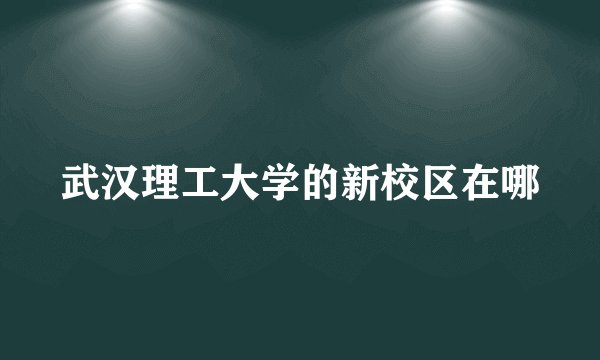武汉理工大学的新校区在哪