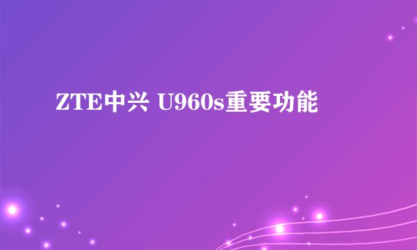 ZTE中兴 U960s重要功能