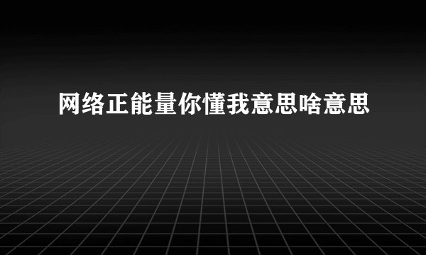 网络正能量你懂我意思啥意思