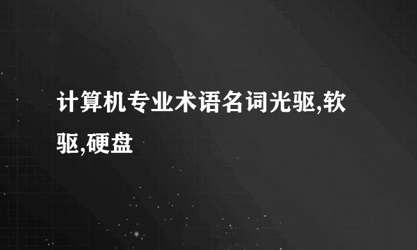 计算机专业术语名词光驱,软驱,硬盘