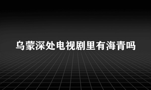 乌蒙深处电视剧里有海青吗